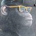 Nick Diego - Facebook