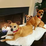 Nicholas Diego - @world_nd8 - Instagram