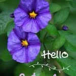 Nicholas Diego - @obio7585 - Instagram