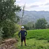 Nicholas Di Franco - @nicky_df - TikTok