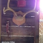 Nicholas Diller - @nicholasdiller - Instagram