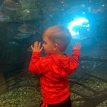 Nicholas Dobbs - @nicdobbs - Instagram