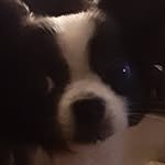 Nicholas Doucette - @nickgamin - Instagram