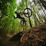 Nicholas29 - @nicholas_downhill - Instagram