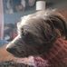 Nicholas Drouillard - Facebook