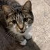 Nick Drouillard - Facebook