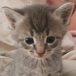 Nicholas Duell - @nicholas.duell - Instagram