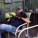 Nicholas Duncan - @nick_trains_dogs - Instagram