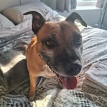 Nicholas Duncan - @nicholasduncan777 - Instagram