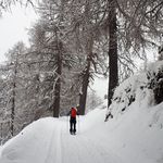 Nicholas Dunn - @nicholasdunnsnow - Instagram