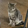 Nicholas Seger - @nicholas.seger - TikTok