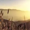 nicholasgoffineilers - @hunt_boi20 - TikTok