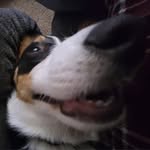 Nicholas Elmes - @nicholaselmes - Instagram