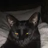 Nicholas England - @nicholasengland999 - TikTok