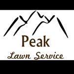 Nicholas Faust - @peak_lawn_service - Instagram