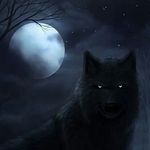 Nicholas Fogleman - @foglemannicholas - Instagram