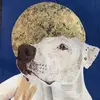 Nicholas Forbes - @nicholasforbes5 - TikTok