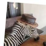 Nicholas Fraser - @icewolfaz23 - Instagram
