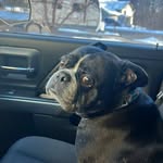 Nicholas, Steven Freitag - @nicholasstevenfreitag - Instagram