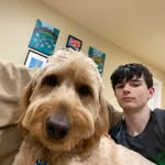 Nicholas Freitas - @nicholasfreitas27 - Instagram