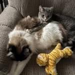 Eric Nicholas Freund - @freund0526 - Instagram