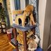 Eric Nicholas Freund - Facebook