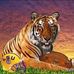 Nick Fruge - Facebook