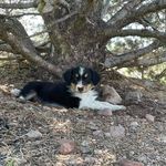 Nicholas Gallegos - @gallegos.nicholas - Instagram