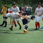 @nicholas_gasperini - Instagram