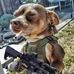 Nicholas Ghermann - Facebook