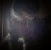Nicholas Glaser - Facebook
