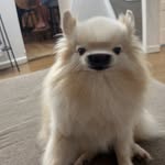 Nicholas Gregorio - @nicholasgregorio21 - Instagram