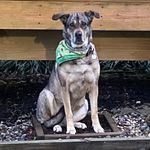 Nicholas Griffiths - @ni.ck3787 - Instagram