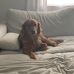Nicholas Groh - Facebook