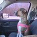Nick Groh - Facebook