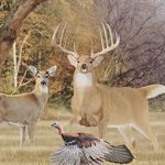nicholas kieth gunter - @bigbuckhunter2005 - Instagram