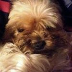 Nicholas Gwinn - @gwinnnicholas - Instagram