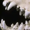 Nicholas Hamlin585 - @nicjhamlin - TikTok