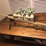 Nicholas Hamlin - @hamlinnicholas - Instagram