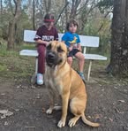 Nicholas Handley - Facebook