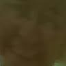 Nicholas Harley - @nicholas_hxrley - TikTok