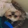 nicholashatala772 - @nicholashatala772 - TikTok