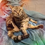 Nicholas James Hatfield - @nicholasjameshatfield - Instagram