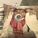 Nicholas Hobson - @drnickhobson - Instagram