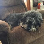 Nicholas Holter - Facebook