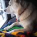 Nicholas Holtz - Facebook