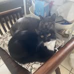 Nicholas Hui - Facebook