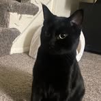 Nicholas Irish - Facebook