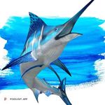 Jacques Nicholas - @jacquesnicholas99 - Instagram