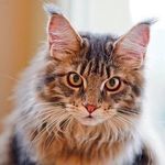Nicholas Jacques - @nicholas9473938jacques - Instagram